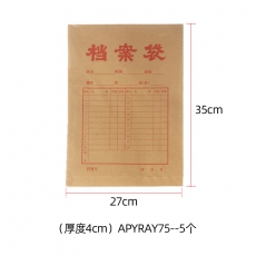 晨光高挺度牛皮纸档案袋（4cm）APYRAY75（20个一组）