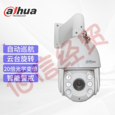 大华dahua监控摄像头 130万高清网络室外摄像机 监控智能球机 红外夜视 360度旋转 光学变焦 DH-SD6C80FB-GN
