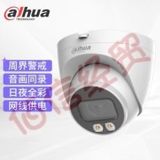 大华dahua监控摄像头 400万POE供电2K超清 日夜监控 臻全彩画面 手机远程半球摄像头 DH-IPC-HDW2433T-A-LED