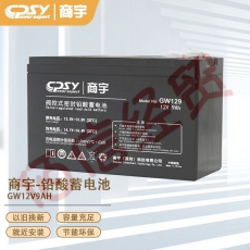 商宇（SY）商宇UPS电源电池_GW12V9AH_高密度节能免维护阀控式铅酸蓄电池