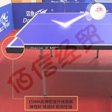 双鱼（DOUBLE FISH） 乒乓球桌标准可移动折叠式乒乓球台室内家用训练比赛乒乓球案子 520