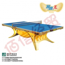 双鱼（DOUBLE FISH） 乒乓球桌展翅王大赛标准乒乓球台  ITTF认证  黄金款不带灯