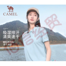 骆驼（CAMEL）速干短袖T恤POLO衫男女情侣款2023春夏季防晒运动速干衣 A23BAVV047，纯净蓝，女 XL