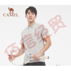 骆驼（CAMEL）polo衫季薄款男款翻领宽松短袖新款纯色运动T恤 C452251002，浅灰，男  M