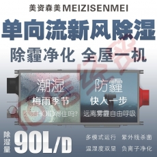 美资森美（MEIZISENMEI）新风除湿净化一体机吊装式中央管道除湿机商用别墅地下室换气隐藏安装吊顶全屋一机单向流 XFHK900D