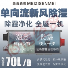 美资森美（MEIZISENMEI）新风除湿净化一体机吊装式中央管道除湿机商用别墅地下室换气隐藏安装吊顶全屋一机单向流 XFHK700D