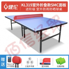健伦（JEEANLEAN） 乒乓球桌室内家用可折叠比赛专业标准移动乒乓球台户外 进阶款KL319（室外折叠款）