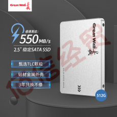 长城（Great Wall）GT黑金系列 SSD固态硬盘 SATA3.0接口台式机笔记本固态硬盘 GT6 旗舰版 1TB 黑金SATA3.0