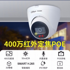 大华400万红外定焦海螺网络摄像机DH-IPC-HDW1430V-A