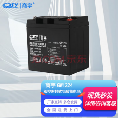 商宇（CPSY）UPS不间断电源电池 商宇原装电池 商宇电池 GW1224